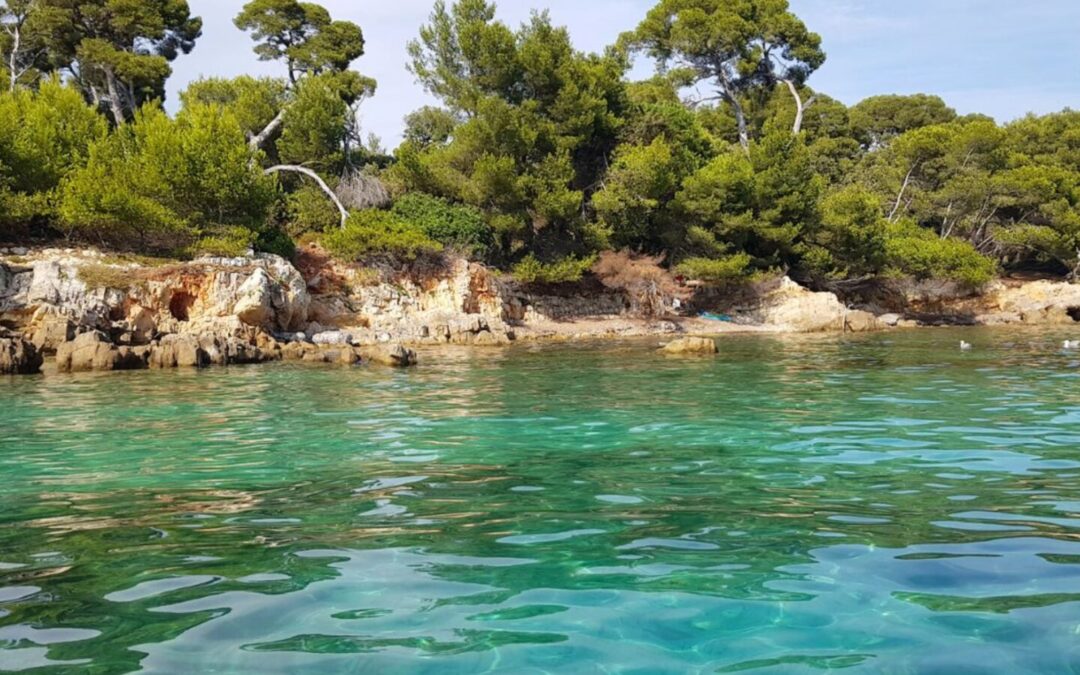 Les plus belles criques et plages secrètes autour de Saint-Tropez