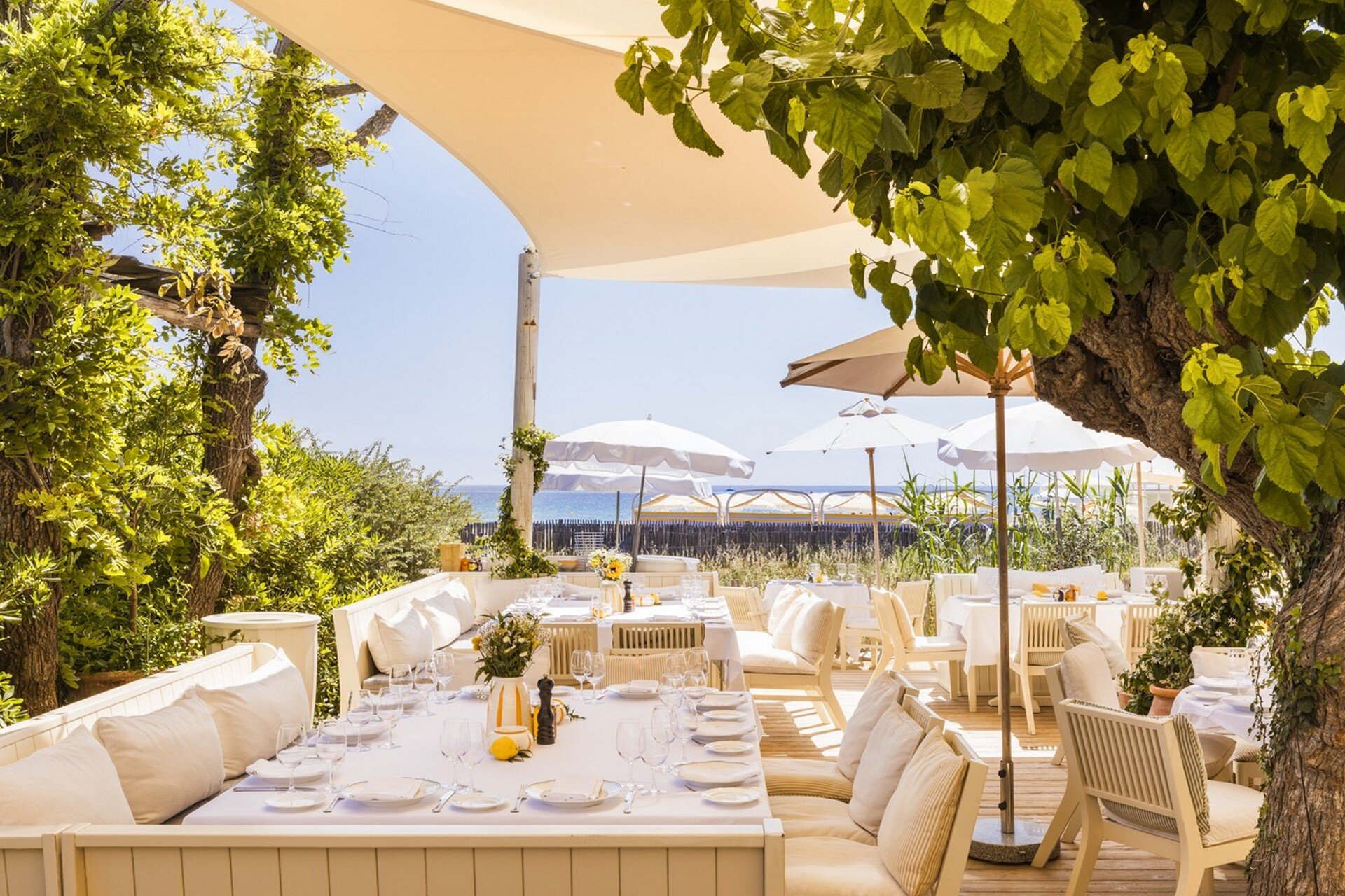 Le restaurant Loulou à Ramatuelle, tables dressées sous les arbres face à la mer